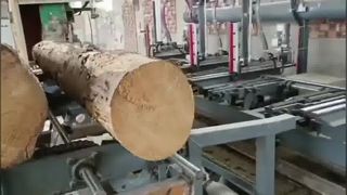 Hidrolik Kütük Taşıyıcılı Dikey Şerit Kereste Fabrikası -pnömatik kütük kavrama